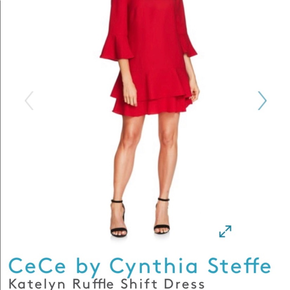 Skirt Dress